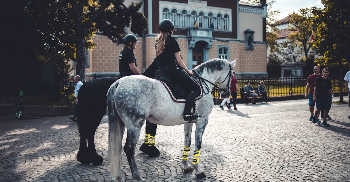 Concorso Agenti di polizia locale presso Comune di Calasetta - 2 posti