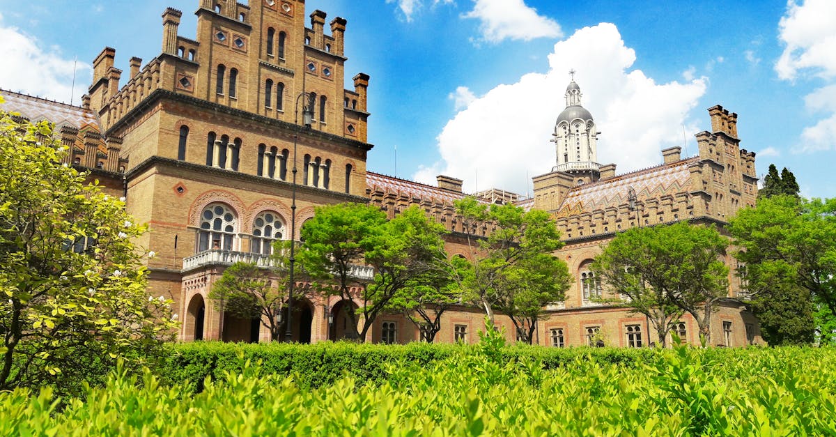 CONCORSO (scad. 9 luglio 2026) presso UNIVERSITA' DI ROMA «TOR VERGATA»