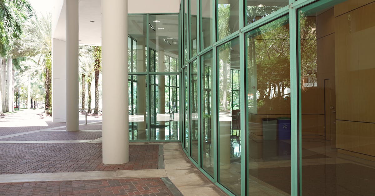 Concorso MAESTRO/A DI YOGA presso Accademia di Belle Arti di Frosinone - 1 posti