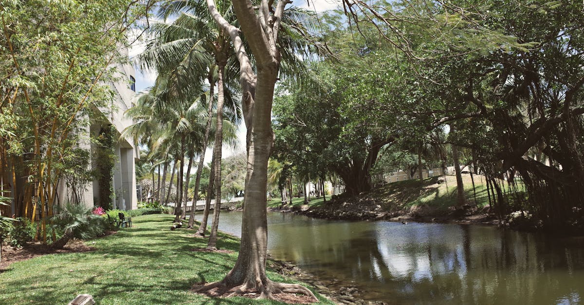 Concorso Assistente allo sviluppo artistico delle scene e dei contesti in computer grafica presso Accademia di Belle Arti di Verona - 1 posti