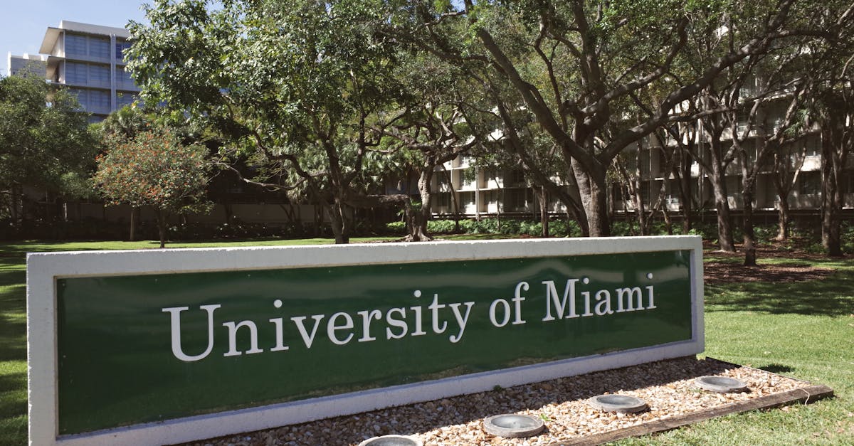 Concorso ISTITUTO DI RICERCA SULLE ACQUE DI MONTELIBRETTI - CONCORSO (scad. 1 aprile 2026) presso CONSIGLIO NAZIONALE DELLE RICERCHE