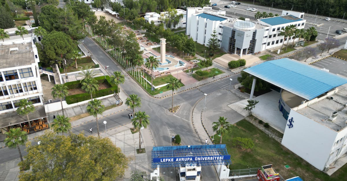 Concorso BORSISTA presso Consiglio per la ricerca in agricoltura e l'analisi dell'economia agraria - 1 posti