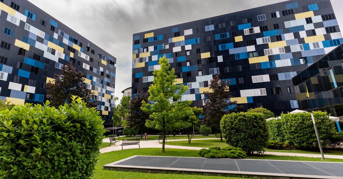 Concorso BORSISTA presso Consiglio per la ricerca in agricoltura e l'analisi dell'economia agraria - 3 posti