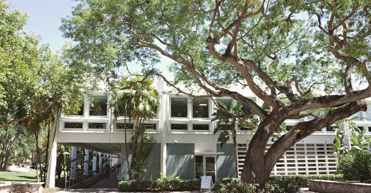 Concorso Ricercatore presso Consiglio per la ricerca in agricoltura e l'analisi dell'economia agraria - 1 posti