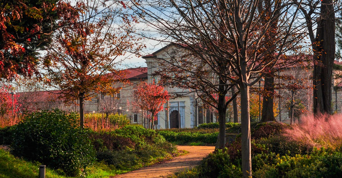 Concorso ISTITUTO DI RICERCA PER LA PROTEZIONE IDROGEOLOGICA DI PERUGIA - CONCORSO (scad. 1 aprile 2026) presso CONSIGLIO NAZIONALE DELLE RICERCHE